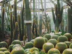 -中国科学院华南植物园