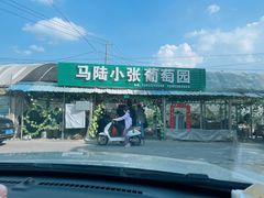 -马陆小张葡萄园农家乐