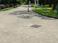 -上海虹桥迎宾馆