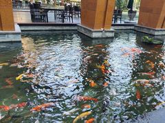 -三亚湾海居铂尔曼度假酒店