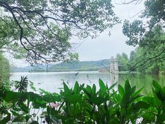 -东湖落雁景区