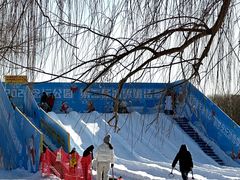 -大兴滨河森林公园