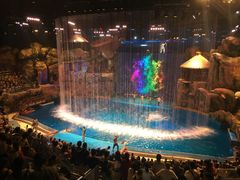 -芜湖新华联大白鲸海洋公园