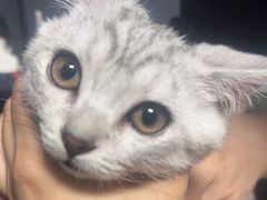 -太原东方动物医院(小店分院)