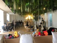 -Husky Go! 哈士奇体验馆·宠物咖啡厅狗咖