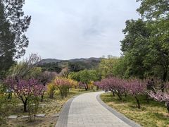 -国家植物园南园