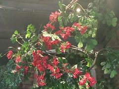 -湘邻呷铺·田园家宴(汉基广场店)