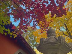 -护国法轮寺