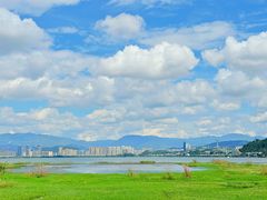 -洱海月湿地公园