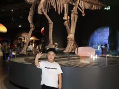 -厦门诚毅自然探索馆