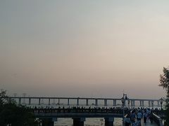 -宝安西湾红树林湿地公园