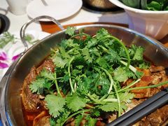 -葛记红焖羊肉(和平路形象店)