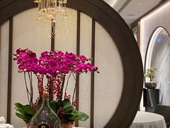 -万豪金殿(香港JW万豪酒店)