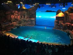 -芜湖新华联大白鲸海洋公园