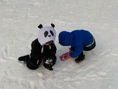 -蓟县盘山滑雪场