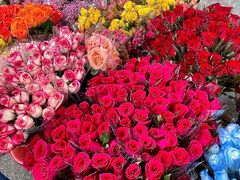 -循礼门鲜花花市(武汉循礼门店)