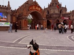 -FAELING PETS美天灵宠物(富力广场店)