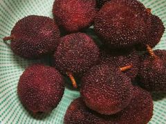 杨梅-家辉生鲜超市(东五路店)