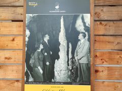 -怀托摩萤火虫洞