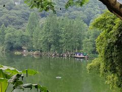 -重庆彩云湖湿地公园
