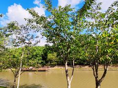 -上海海湾国家森林公园