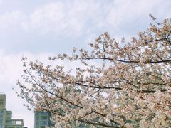 -西北湖绿化广场