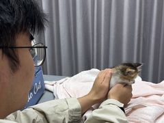 -宠物星动物医院·眼科·异宠·猫科(江南大道总院)