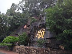 -三水森林公园