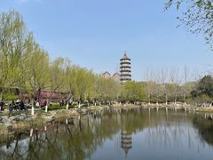 -静园(和平区)