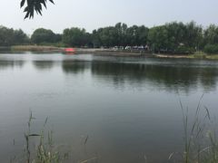 -永定河休闲森林公园