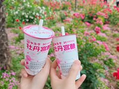 -洛阳市隋唐城遗址植物园