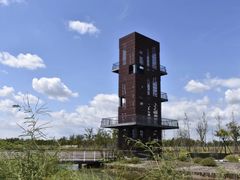 -春花秋色城市公园