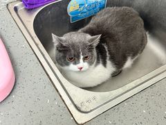 -安安宠医·安烨宠物医院·宠物保险(北仑分院)