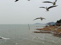 -苏州吴中太湖旅游区