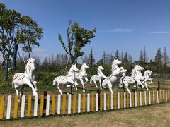 -上海长兴岛郊野公园