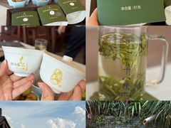 -十八棵（老龙井）御茶园(老龙井店)