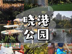 -晓港公园