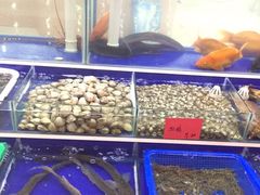 青年公社海鲜城-海鲜城大家餐厅