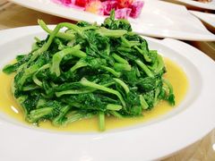 清炒大叶豆苗-章氏(车站北路店)