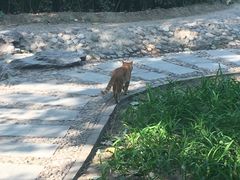 -丰台科技园生态主题公园
