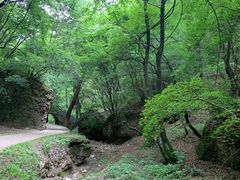 -玉华宫景区
