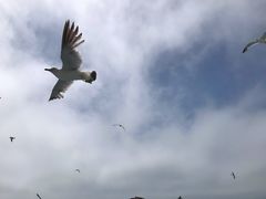 -海驴岛(荣成市)