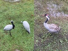 -普洱太阳河森林公园
