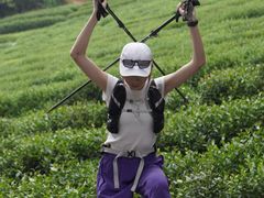 -午潮山国家森林公园