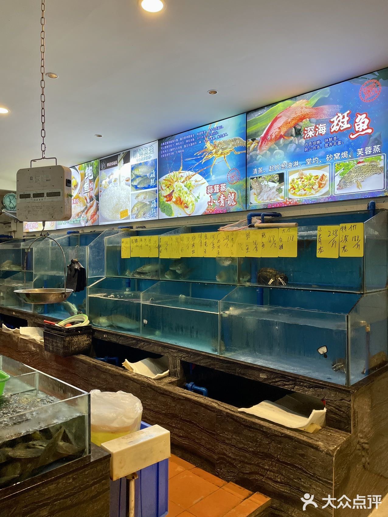 逛完永庆坊直奔这家地道老广饭店！！