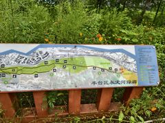 -绿堤公园