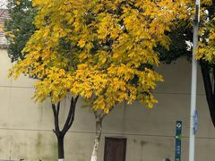 -宁波儿童公园(鄞州区)