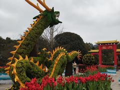 -南山植物园