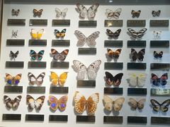 -上海昆虫博物馆