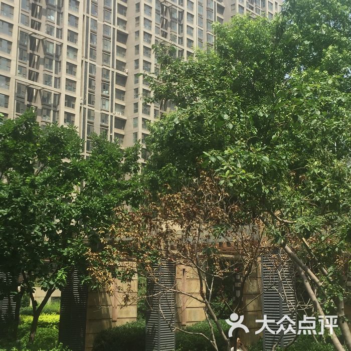 东贸国际图片-北京小区-大众点评网